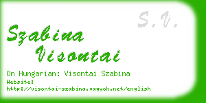 szabina visontai business card